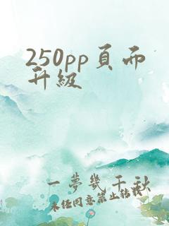 250pp页面升级