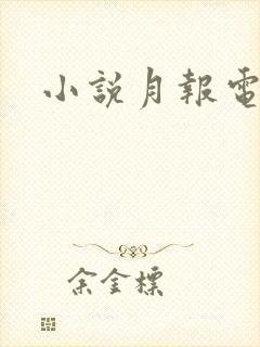 小说月报电子版