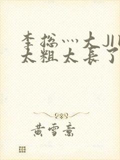 李总灬大JI巴太粗太长了