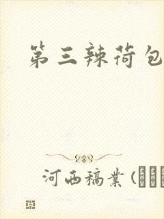 第三辣荷包网