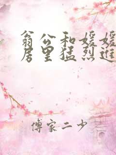 翁公和媛媛在厨房里猛烈进出