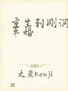 重生到刚洞房的军婚