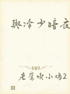 与冷少暗夜孽爱