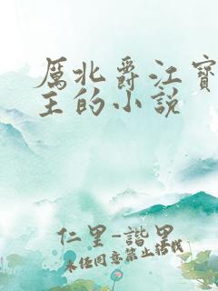 厉北爵江宝宝男主的小说