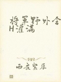 将军野外含公主H灌满