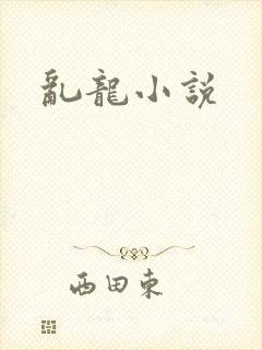 乱龙小说