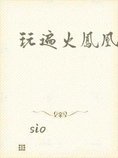 玩遍火凤凰队员