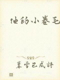 他的小卷毛