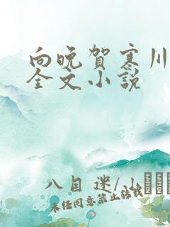 向晚贺寒川免费全文小说