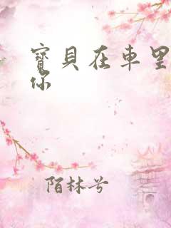 宝贝在车里想要你