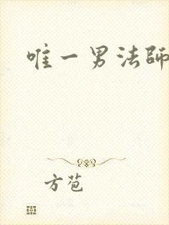 唯一男法师