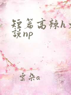 短篇高辣h文小说np
