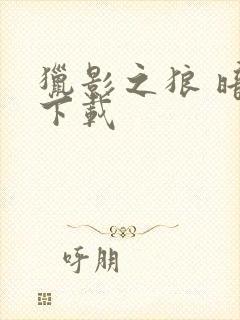 猎影之狼 暗夜下载