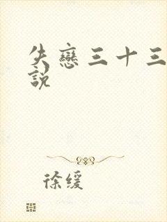 失恋三十三天小说