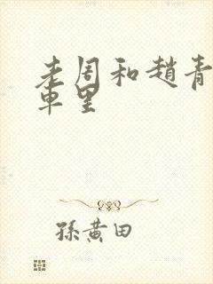 老周和赵青在货车里