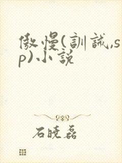 傲慢(训诫,sp)小说