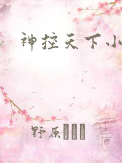 神控天下小说
