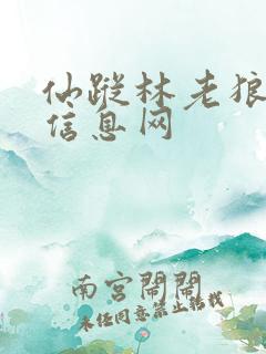 仙踪林老狼贰佰信息网