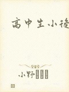 高中生小后妈