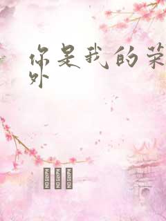 你是我的荣耀番外