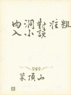 肉洞对准粗大坐入小说
