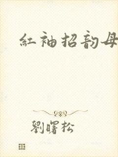 红袖招韵母攻略