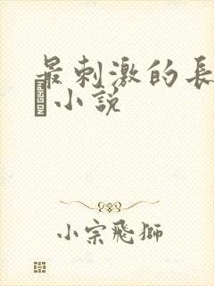 最刺激的长篇乱惀小说