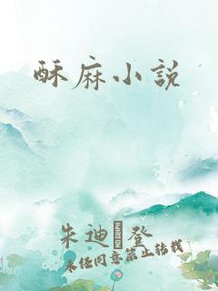 酥麻小说