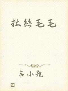 拉丝毛毛