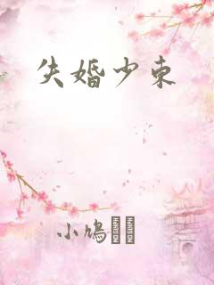 失婚少东