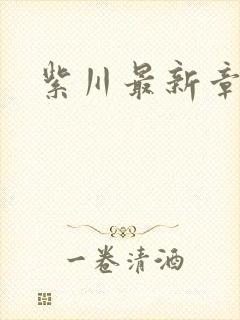 紫川最新章节