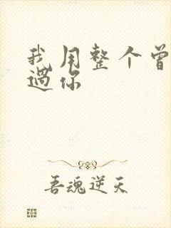 我用整个曾经爱过你