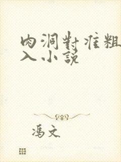 肉洞对准粗大坐入小说