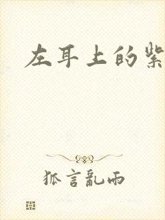 左耳上的紫水晶