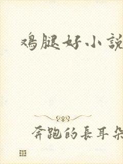 鸡腿好小说网
