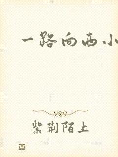 一路向西小说
