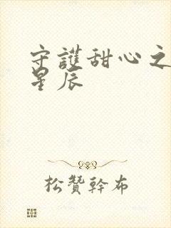 守护甜心之暗夜星辰