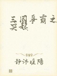 三国争霸之异军突起