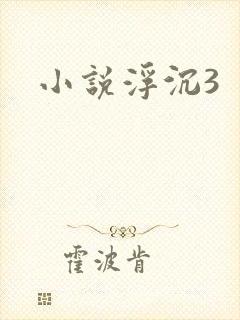 小说浮沉3
