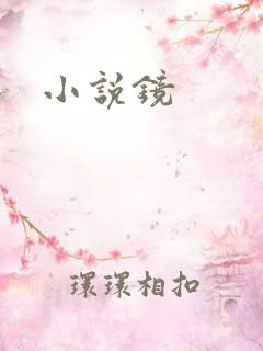 小说镜