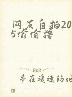 网友自拍2015偷偷撸