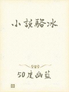 小说骆冰