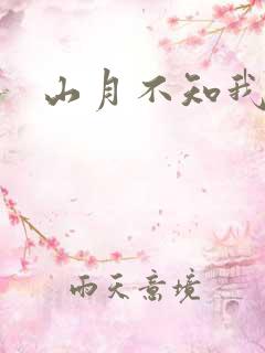 山月不知我心事