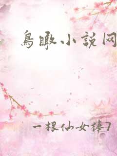 鸟瞰小说网