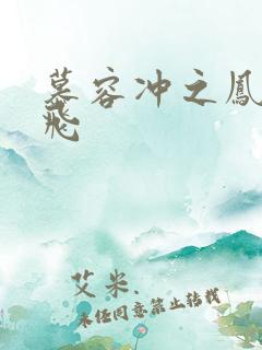 慕容冲之凤凰于飞