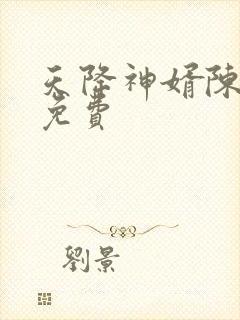 天降神婿陈黄皮免费