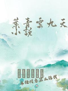 叶青云九天玄宗小说