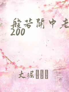 般若关中老人5200