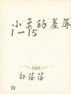 小柔的羞辱日记1一15