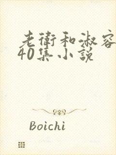 老卫和淑容1-40集小说